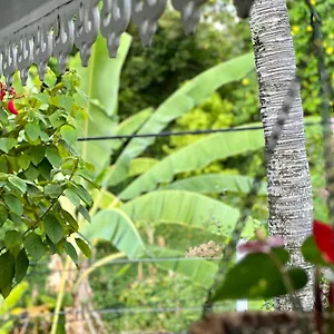 Maison d'hôtes Maison Taina, Arue (Tahiti)